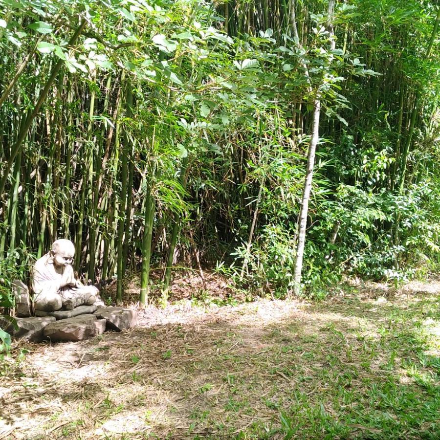 شقة Sitio Sapiranga المظهر الخارجي الصورة