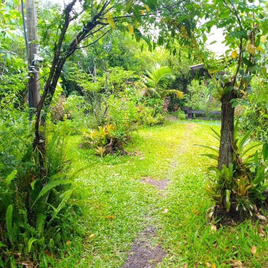شقة Sitio Sapiranga المظهر الخارجي الصورة