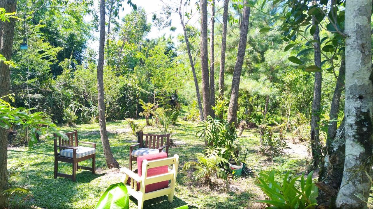 شقة Sitio Sapiranga المظهر الخارجي الصورة